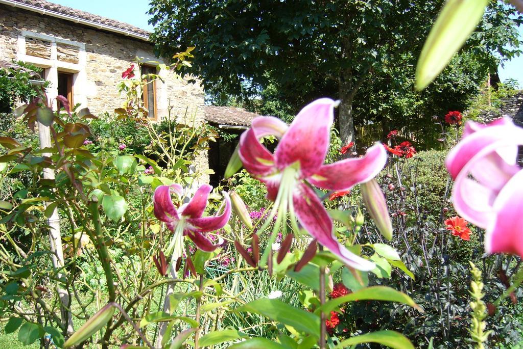 Villefranche-dʼAlbigeois Maison D'Hotes Hameau De Taur酒店 外观 照片